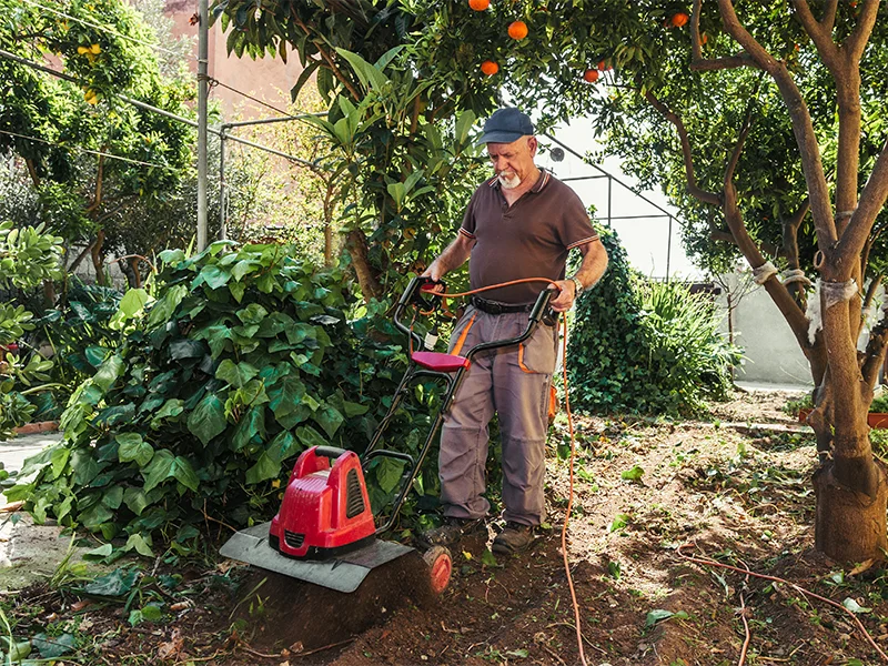 cura-e-preparazione-dell-orto