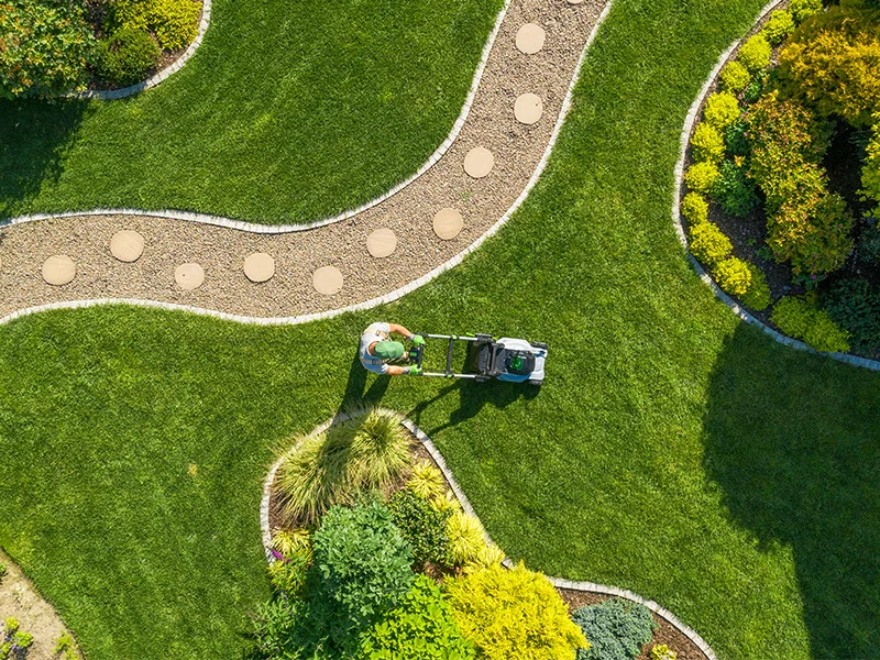 manutenzione-frequente-per-giardino-in-salute